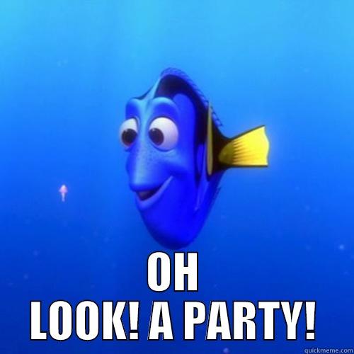 NEVER PARTY AGAIN -  OH LOOK! A PARTY! dory