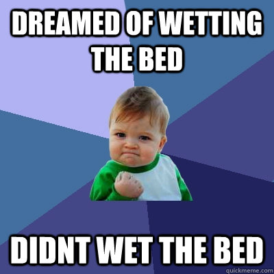 Dreamed of wetting the bed didnt wet the bed  Success Kid