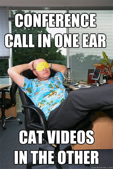 conference call in one ear cat videos 
in the other  Lazy Employee