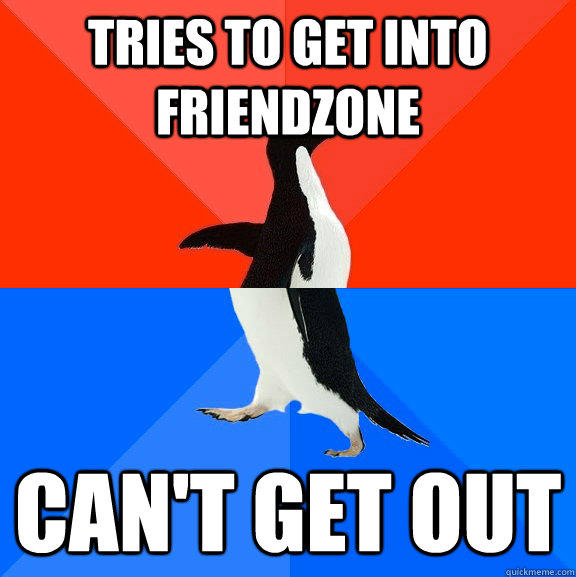 Tries to get into friendzone can't get out  Socially Awesome Awkward Penguin
