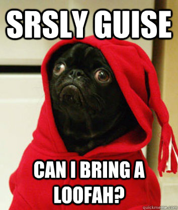 srsly guise can i bring a loofah? - srsly guise can i bring a loofah?  Serious Pug