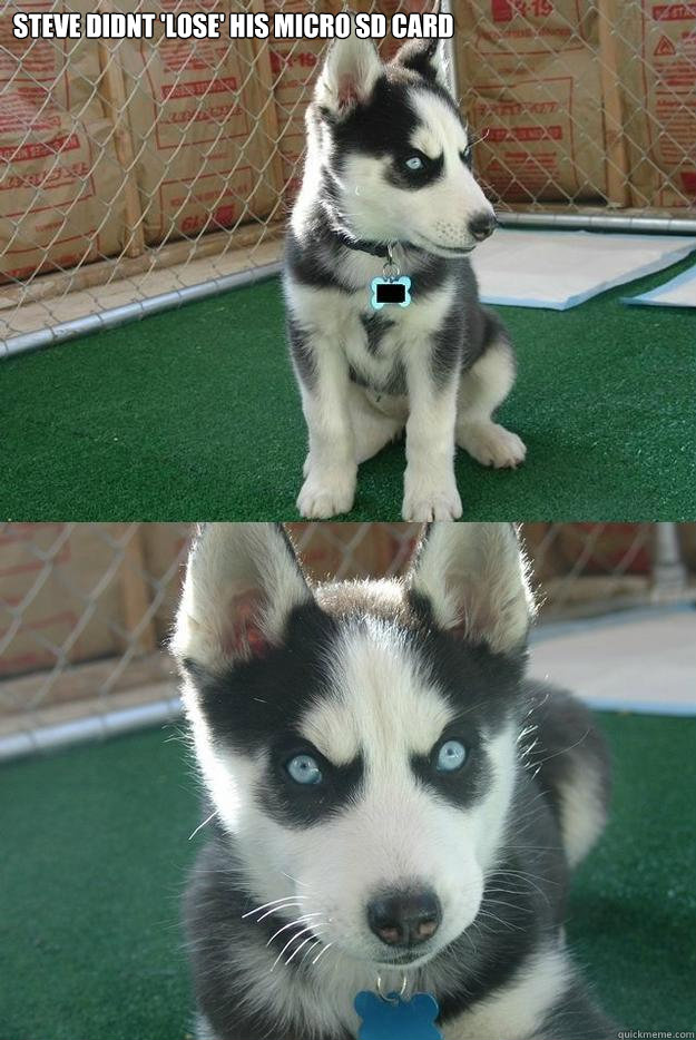 Steve didnt 'lose' his micro sd card   Insanity puppy