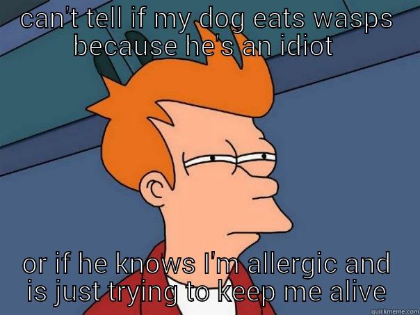 CAN'T TELL IF MY DOG EATS WASPS BECAUSE HE'S AN IDIOT  OR IF HE KNOWS I'M ALLERGIC AND IS JUST TRYING TO KEEP ME ALIVE Futurama Fry