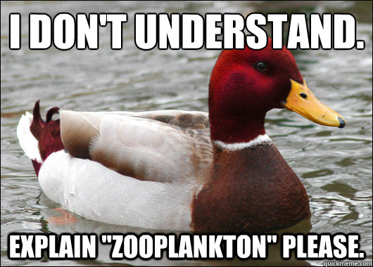 I don't understand.
 Explain 