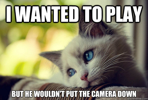 i wanted to play but he wouldn't put the camera down  First World Problems Cat