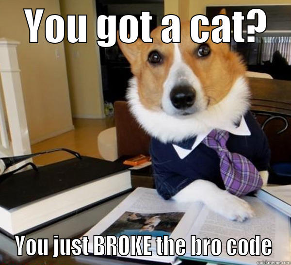    YOU GOT A CAT?    YOU JUST BROKE THE BRO CODE Lawyer Dog