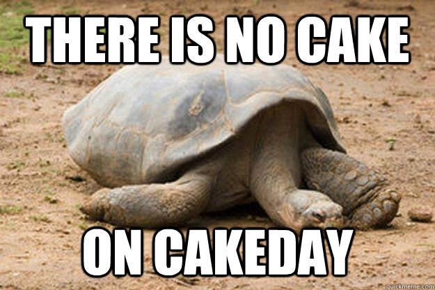 there is no cake  on cakeday  Depression Turtle