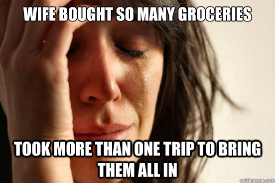 Wife bought so many groceries Took more than one trip to bring them all in  First World Problems