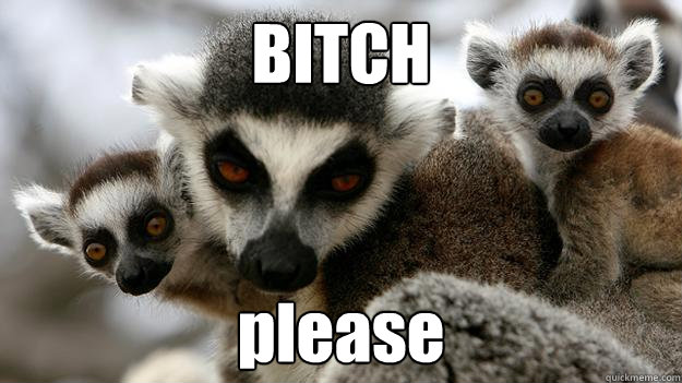BITCH please - BITCH please  Unamused Lemur