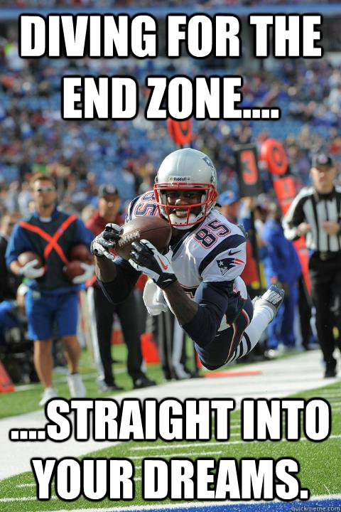 Diving for the end zone.... ....straight into your dreams. - Diving for the end zone.... ....straight into your dreams.  photogenic Brandon Lloyd