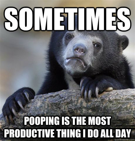 sometimes pooping is the most productive thing i do all day  Confession Bear