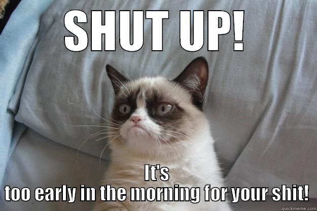 SHUT UP! IT'S TOO EARLY IN THE MORNING FOR YOUR SHIT! Grumpy Cat