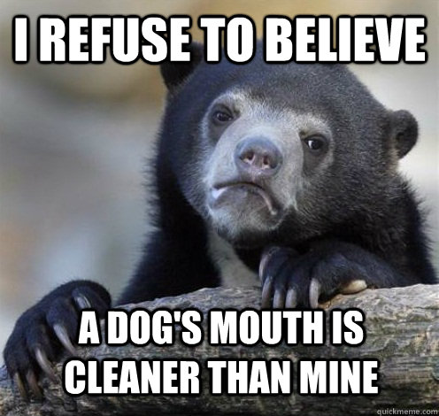 i refuse to believe a dog's mouth is cleaner than mine  Confession Bear Eating