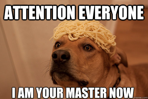 ATTENTION EVERYONE I AM YOUR MASTER NOW - ATTENTION EVERYONE I AM YOUR MASTER NOW  10 Dog
