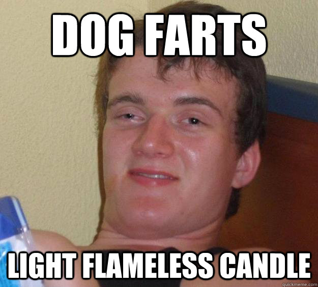 Dog Farts Light flameless candle  10 Guy