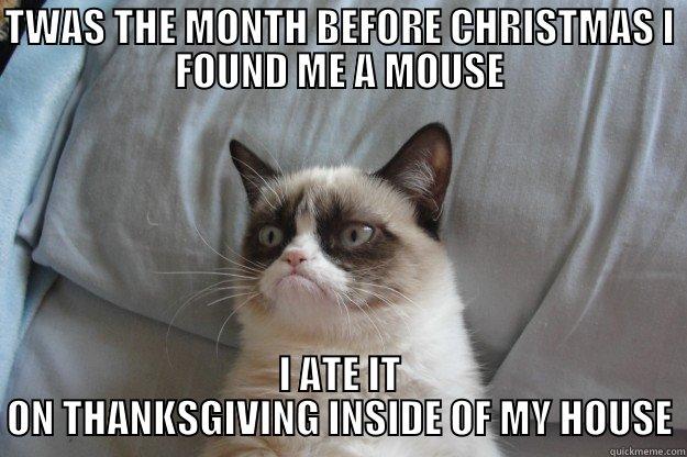 TWAS THE MONTH BEFORE CHRISTMAS I FOUND ME A MOUSE I ATE IT ON THANKSGIVING INSIDE OF MY HOUSE Grumpy Cat