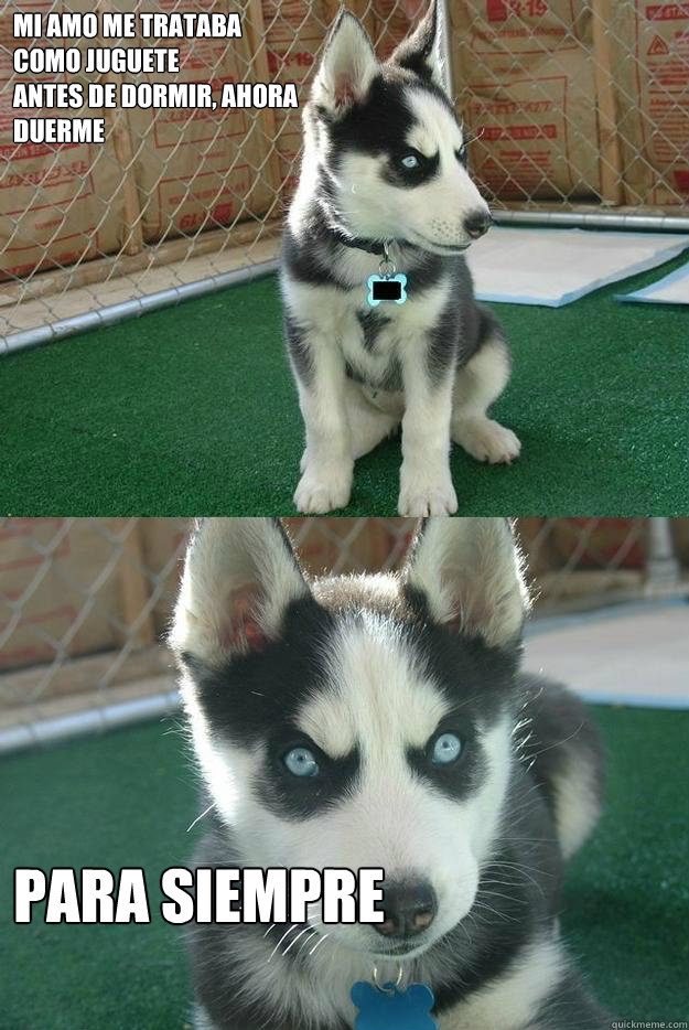 mi amo me trataba 
como juguete 
antes de dormir, ahora
duerme para siempre  Insanity puppy