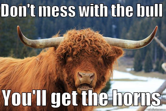 Mess with the bull - DON'T MESS WITH THE BULL   YOU'LL GET THE HORNS Misc