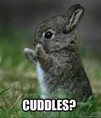 Cuddles?  