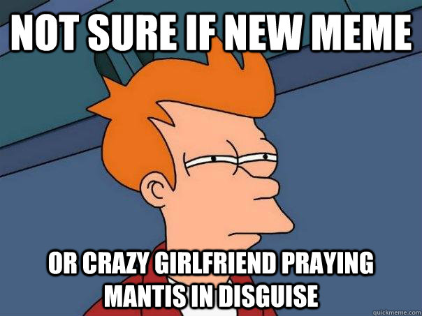 not sure if new meme or crazy girlfriend praying mantis in disguise  Futurama Fry