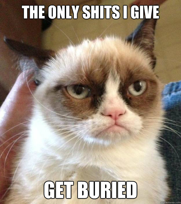 The only shits i give get buried - The only shits i give get buried  Misc