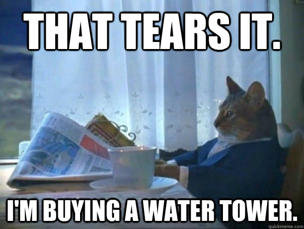 That tears it. I'm buying a water tower.  morning realization newspaper cat meme