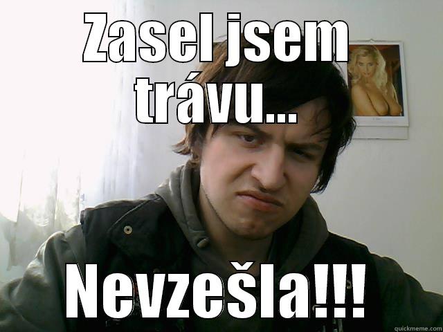 ZASEL JSEM TRÁVU... NEVZEŠLA!!! Misc