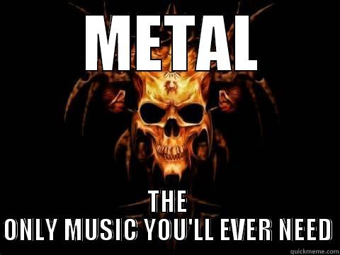 flaming skull -  METAL THE ONLY MUSIC YOU'LL EVER NEED Misc