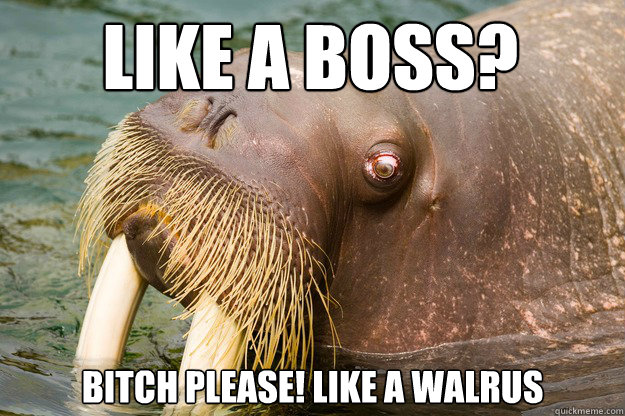 LIKE A BOSS? BITCH PLEASE! LIKE A WALRUS  