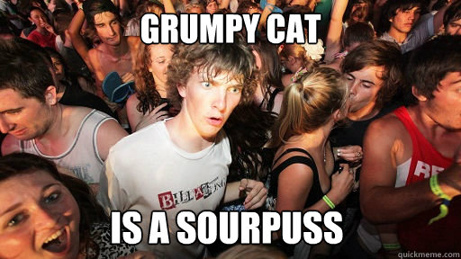 Grumpy Cat Is a sourpuss  Sudden Clarity Clarence