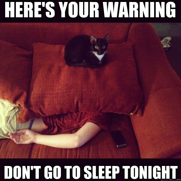 Here's your warning don't go to sleep tonight  jealous cat