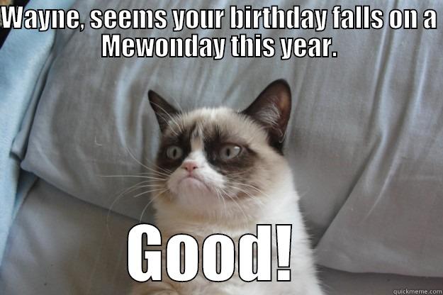 Monday Birthday - WAYNE, SEEMS YOUR BIRTHDAY FALLS ON A MEWONDAY THIS YEAR. GOOD!  Grumpy Cat
