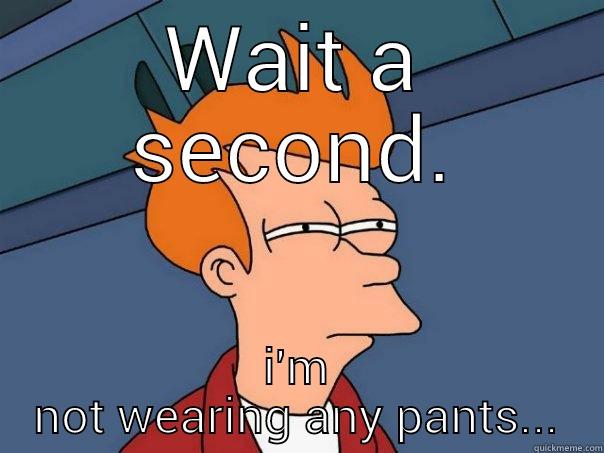 Something's missing. - WAIT A SECOND. I'M NOT WEARING ANY PANTS... Futurama Fry