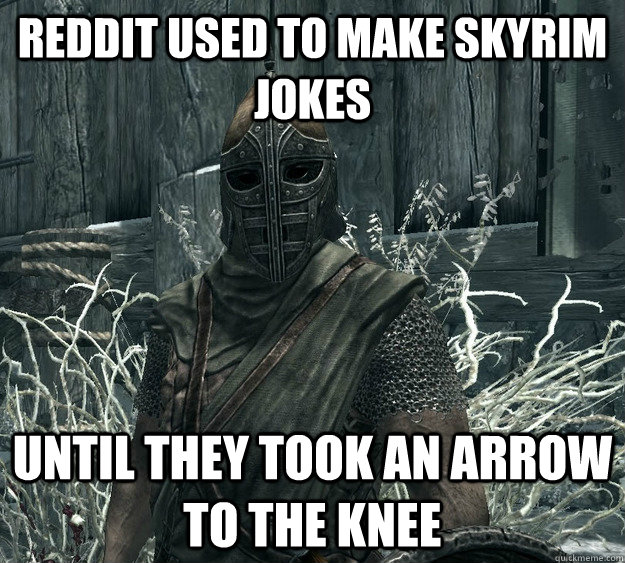 reddit used to make skyrim jokes until they took an arrow to the knee - reddit used to make skyrim jokes until they took an arrow to the knee  Skyrim Guard