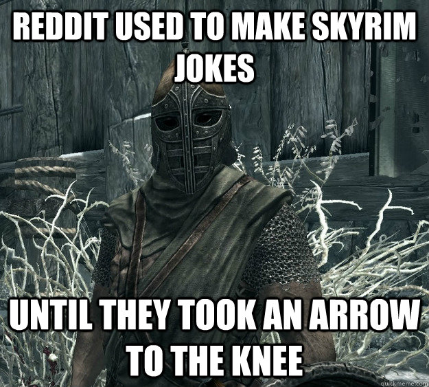 reddit used to make skyrim jokes until they took an arrow to the knee  Skyrim Guard
