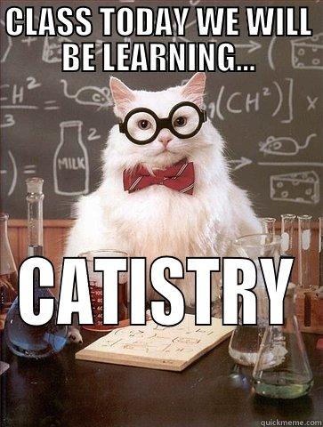 CLASS TODAY WE WILL BE LEARNING... CATISTRY Chemistry Cat