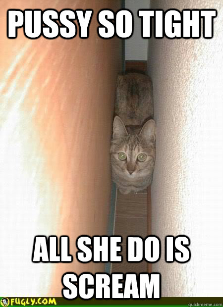 Pussy xD memes | quickmeme
