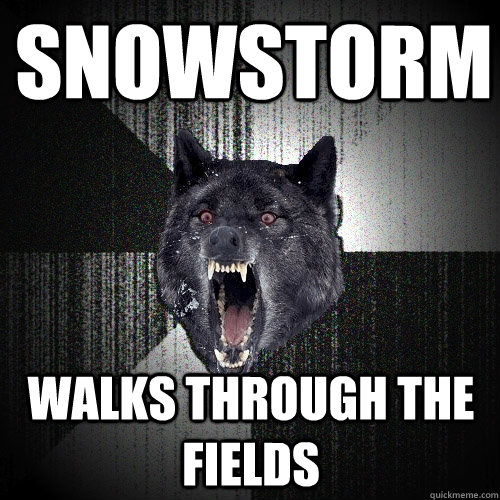 Snowstorm walks through the fields  Insanity Wolf