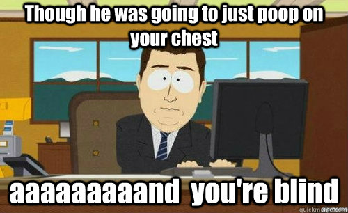 Though he was going to just poop on your chest aaaaaaaaand  you're blind  anditsgone