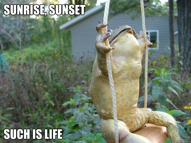 sunrise, sunset such is life - sunrise, sunset such is life  Carefree Frog