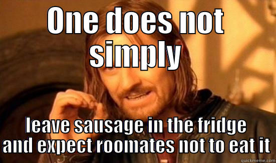 ONE DOES NOT SIMPLY LEAVE SAUSAGE IN THE FRIDGE AND EXPECT ROOMATES NOT TO EAT IT Boromir