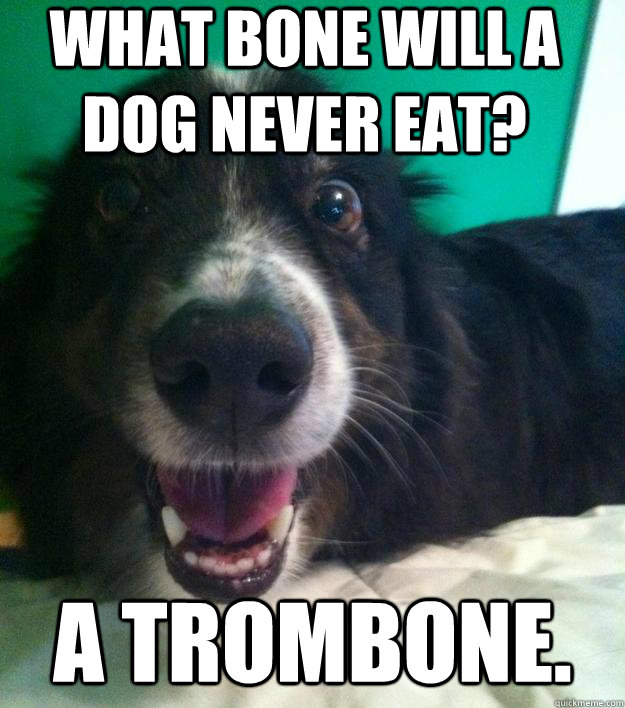 What bone will a dog never eat? A trombone. - What bone will a dog never eat? A trombone.  Bad joke bud