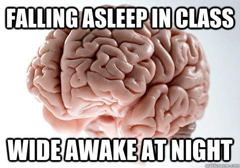 Falling asleep in class Wide awake at night  