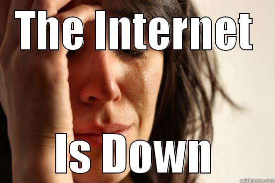 THE INTERNET IS DOWN First World Problems