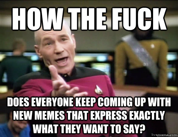 how the fuck does everyone keep coming up with  new memes that express exactly what they want to say? - how the fuck does everyone keep coming up with  new memes that express exactly what they want to say?  Annoyed Picard HD