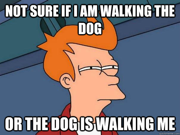 not sure if i am walking the dog Or the dog is walking me  Futurama Fry