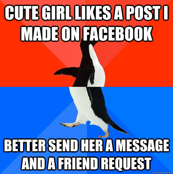 cute girl likes a post i made on facebook better send her a message and a friend request - cute girl likes a post i made on facebook better send her a message and a friend request  Socially Awesome Awkward Penguin
