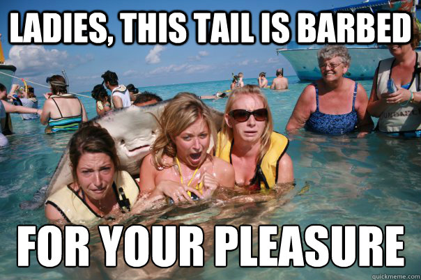 Ladies, this tail is barbed for your pleasure  Pervert Stingray