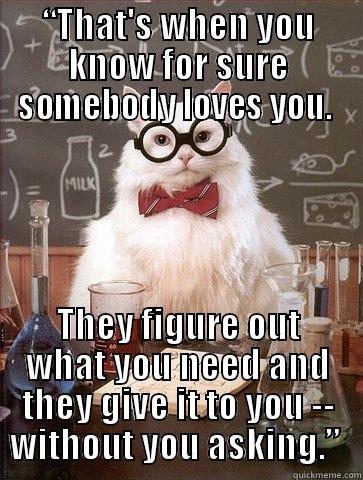 “THAT'S WHEN YOU KNOW FOR SURE SOMEBODY LOVES YOU.  THEY FIGURE OUT WHAT YOU NEED AND THEY GIVE IT TO YOU -- WITHOUT YOU ASKING.”  Chemistry Cat