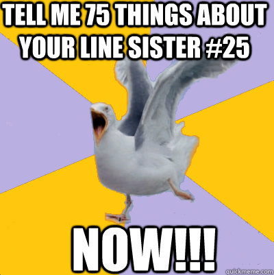 tell me 75 things about your line sister #25 NOW!!!  rage seagull